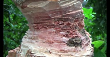 Adam beton döküyor.