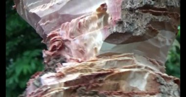 Adam beton döküyor.