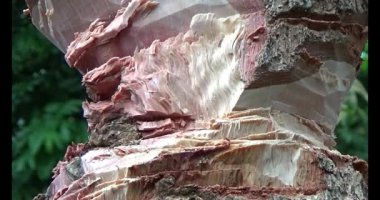 Adam beton döküyor.