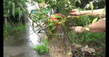 Adam beton döküyor.