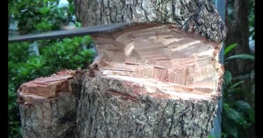 Adam beton döküyor.