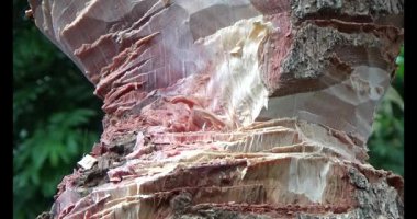 Adam beton döküyor.