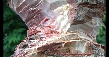 Adam beton döküyor.