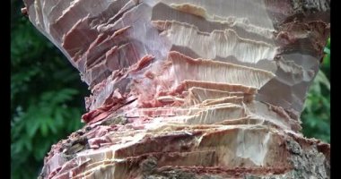 Adam beton döküyor.