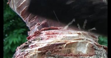 Adam beton döküyor.