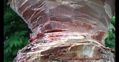 Adam beton döküyor.