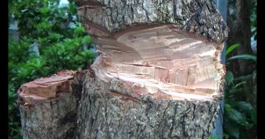 Adam beton döküyor.