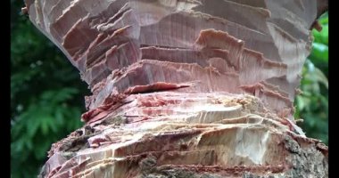 Adam beton döküyor.