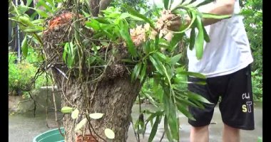 Adam beton döküyor.