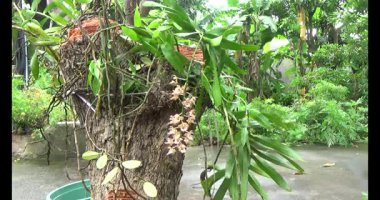 Adam beton döküyor.