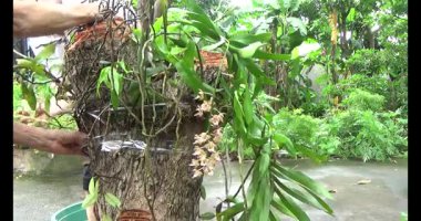 Adam beton döküyor.