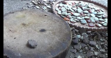 Gac tohumları bitkisel ilaçlara işleniyor.