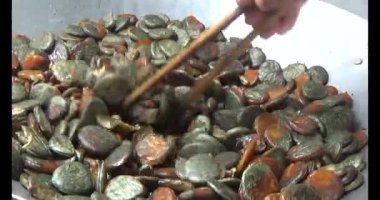 Gac tohumları bitkisel ilaçlara işleniyor.