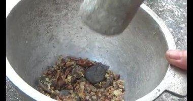 Gac tohumları bitkisel ilaçlara işleniyor.