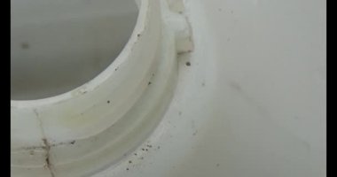 Gac tohumları bitkisel ilaçlara işleniyor.