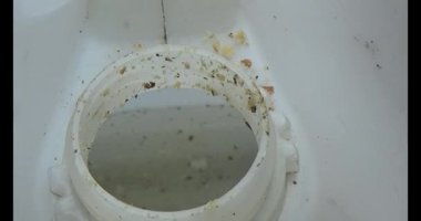 Gac tohumları bitkisel ilaçlara işleniyor.