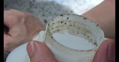 Gac tohumları bitkisel ilaçlara işleniyor.