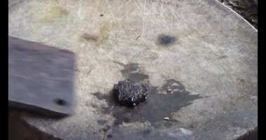 Gac tohumları bitkisel ilaçlara işleniyor.