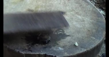 Gac tohumları bitkisel ilaçlara işleniyor.