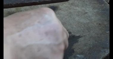 Gac tohumları bitkisel ilaçlara işleniyor.