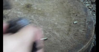 Gac tohumları bitkisel ilaçlara işleniyor.