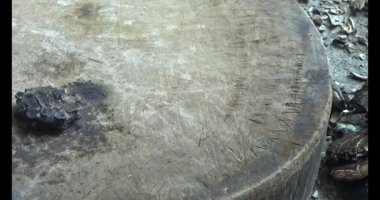 Gac tohumları bitkisel ilaçlara işleniyor.