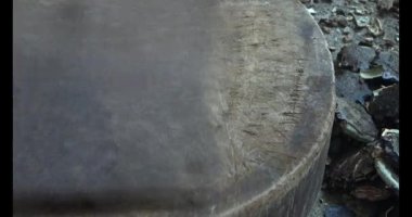 Gac tohumları bitkisel ilaçlara işleniyor.