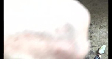 Gac tohumları bitkisel ilaçlara işleniyor.