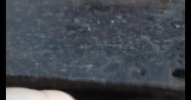 Gac tohumları bitkisel ilaçlara işleniyor.