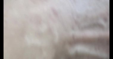 Gac tohumları bitkisel ilaçlara işleniyor.