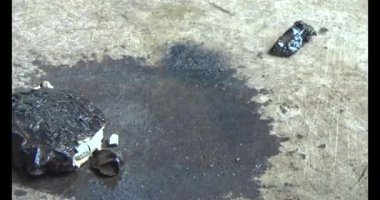 Gac tohumları bitkisel ilaçlara işleniyor.