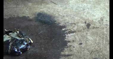 Gac tohumları bitkisel ilaçlara işleniyor.