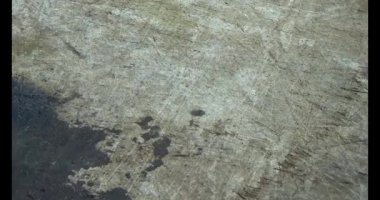 Gac tohumları bitkisel ilaçlara işleniyor.