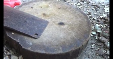 Gac tohumları bitkisel ilaçlara işleniyor.