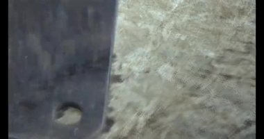 Gac tohumları bitkisel ilaçlara işleniyor.