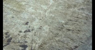 Gac tohumları bitkisel ilaçlara işleniyor.