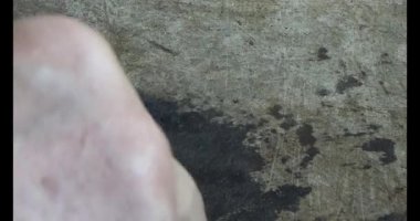 Gac tohumları bitkisel ilaçlara işleniyor.