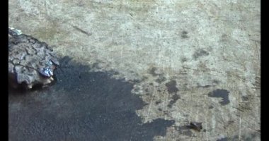 Gac tohumları bitkisel ilaçlara işleniyor.