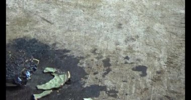 Gac tohumları bitkisel ilaçlara işleniyor.