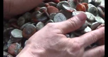 Gac tohumları bitkisel ilaçlara işleniyor.