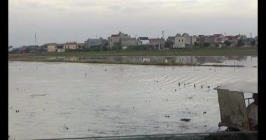 Alan yetiştirme traktör