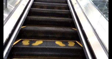 Pirinç alanında dikim çiftçiler