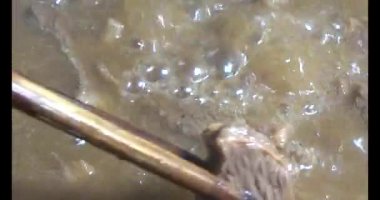 Biftek yahnisi ve yemek.