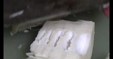 Bambu filizlerini kes.