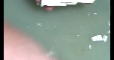 Bambu filizlerini kes.