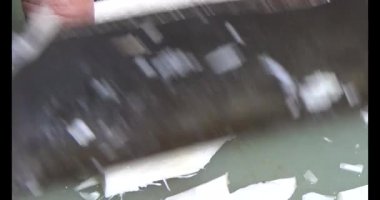 Bambu filizlerini kes.