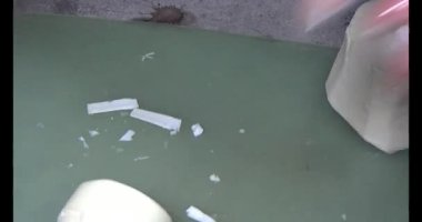 Bambu filizlerini kes.