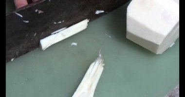 Bambu filizlerini kes.