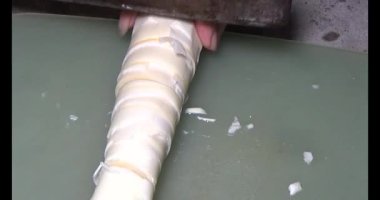 Bambu filizlerini kes.