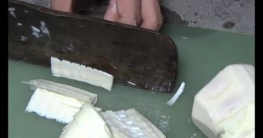 Bambu filizlerini kes.